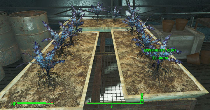 Nirnroot-Experimental-Plant-Fallout-4-Easter-Eggs.jpg